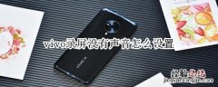 vivo录屏没有声音怎么设置