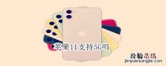 苹果11支持5G吗