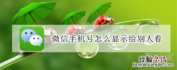 微信手机号怎么显示给别人看