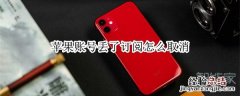 苹果账号丢了订阅怎么取消