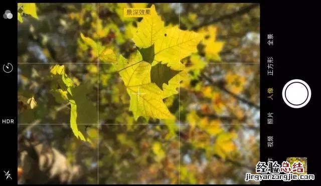 手机拍摄秋叶的4大方法 手机拍照技巧
