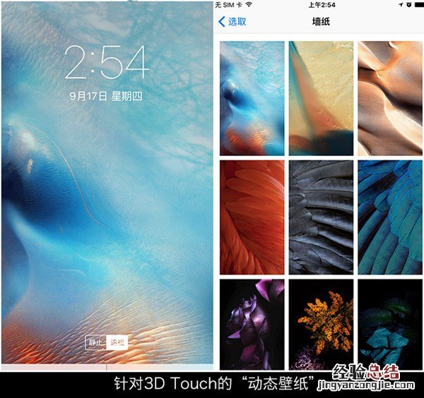 超前的移动操作系统 苹果iOS9上手体验