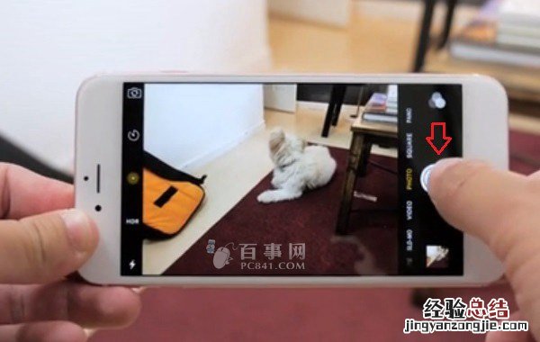 Live Photos怎么用 拍照新玩法Live Photos使用教程