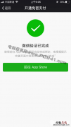 App Store支持微信付款吗 App Store怎么用微信付款