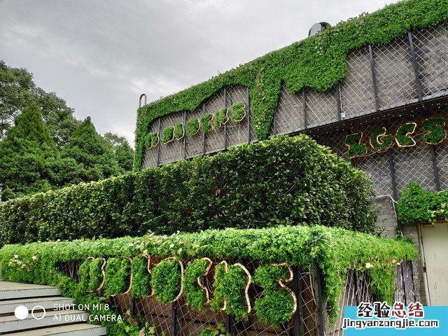 iPhone X、荣耀10、小米8拍照对比评测 苹果秒杀一切?