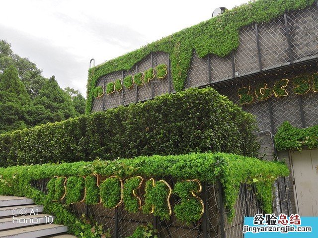 iPhone X、荣耀10、小米8拍照对比评测 苹果秒杀一切?