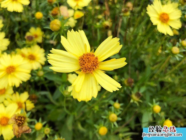 iPhone X、荣耀10、小米8拍照对比评测 苹果秒杀一切?