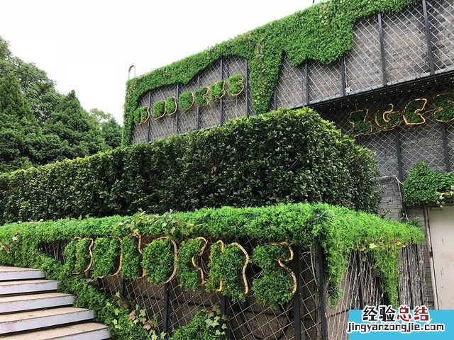 iPhone X、荣耀10、小米8拍照对比评测 苹果秒杀一切?