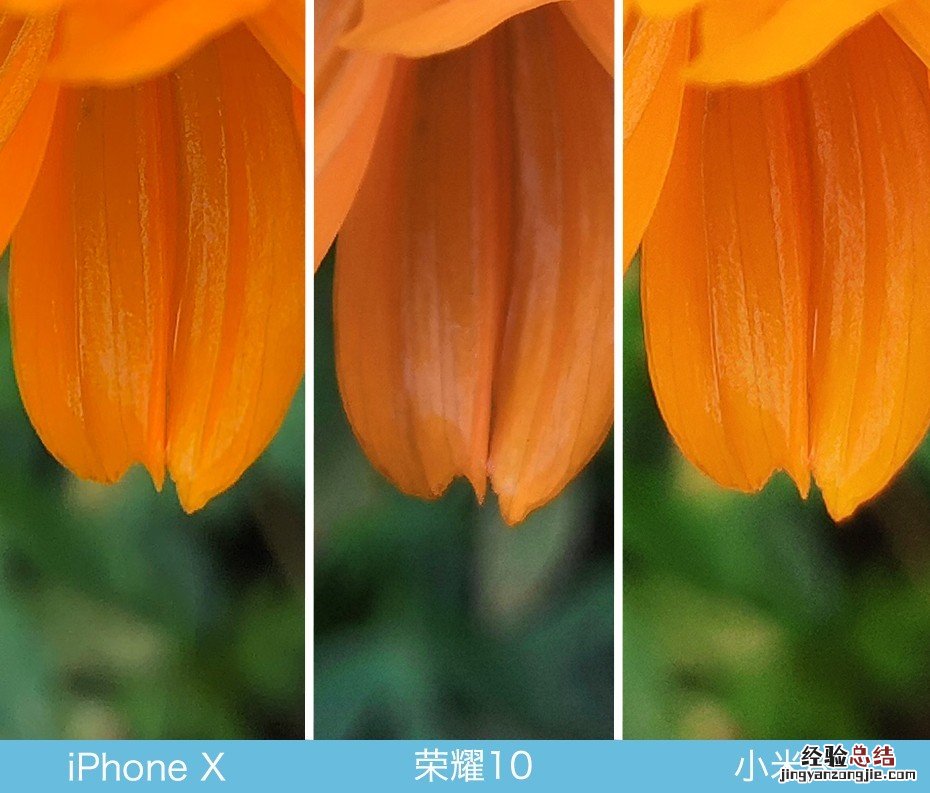 iPhone X、荣耀10、小米8拍照对比评测 苹果秒杀一切?