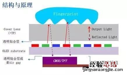 小米8透明探索版不完全拆解:我们发现了一个秘密