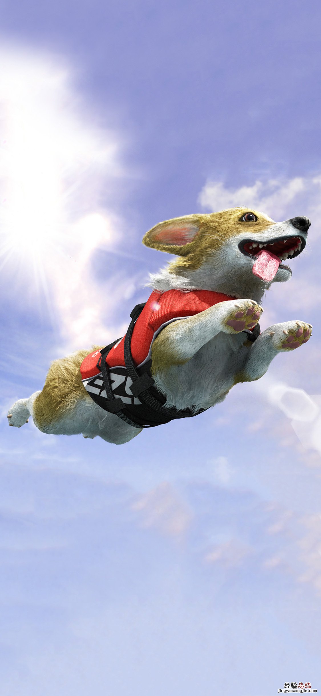 30张超好看的手机壁纸推荐高清无水印下载 张张都很唯美!