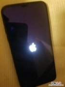 iOS12 beta7白苹果怎么办 升级iOS12 beta7出现白苹果解决办法