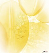 唯美如幻境 16张华为nova3内置高清手机壁纸下载