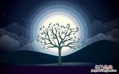 怎么看微信公众号粉丝数量？2种预估公众号粉丝方法