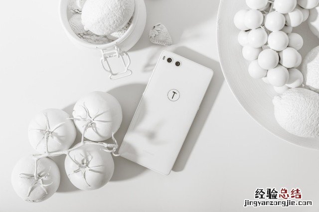 坚果R1白色真漂亮 高清精美图赏