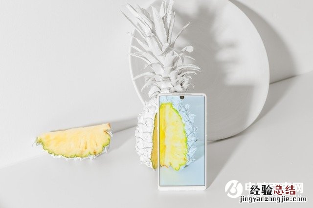 坚果R1白色真漂亮 高清精美图赏