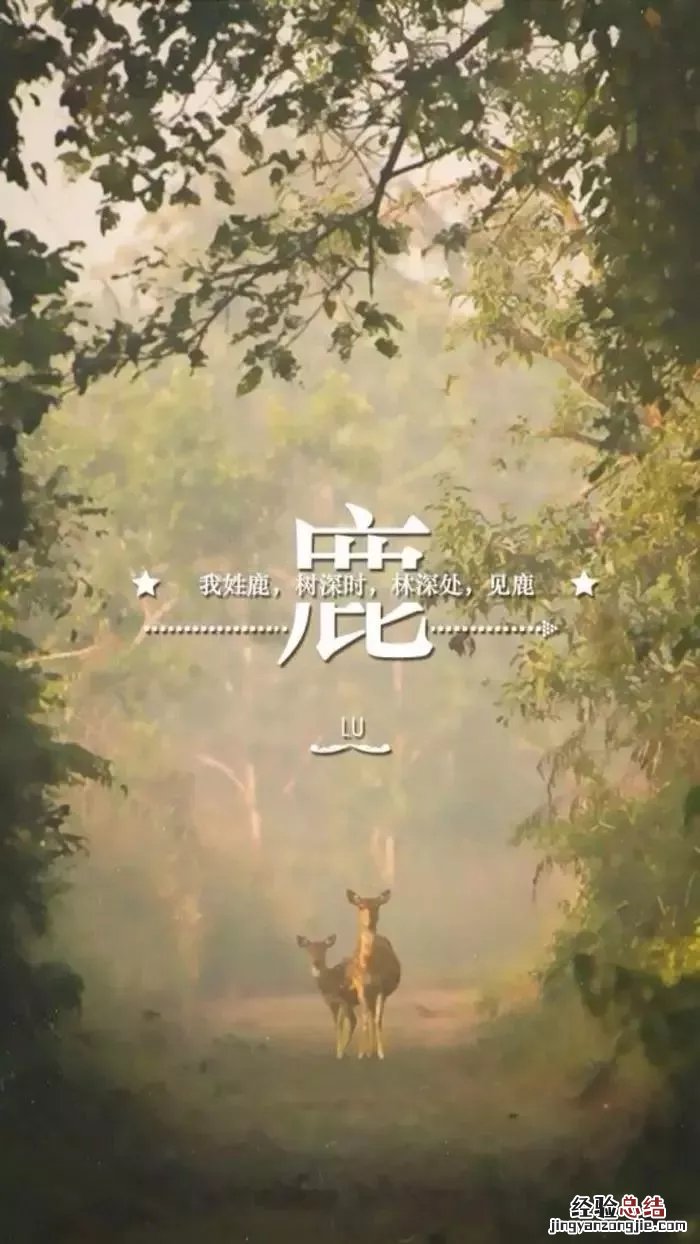 姓氏手机壁纸图片大全 66张有你的姓吗?