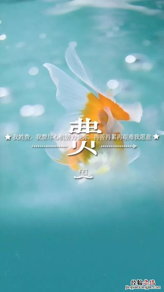 姓氏手机壁纸图片大全 66张有你的姓吗?