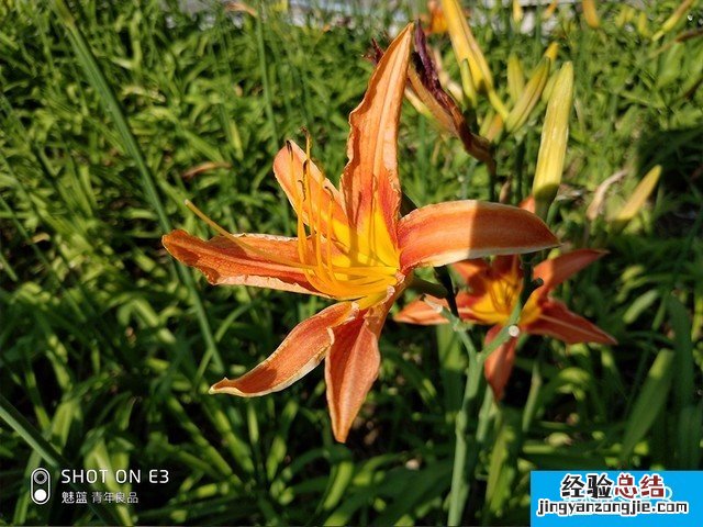 联想Z5、小米6X、魅蓝E3拍照对比评测 千元机相机对决