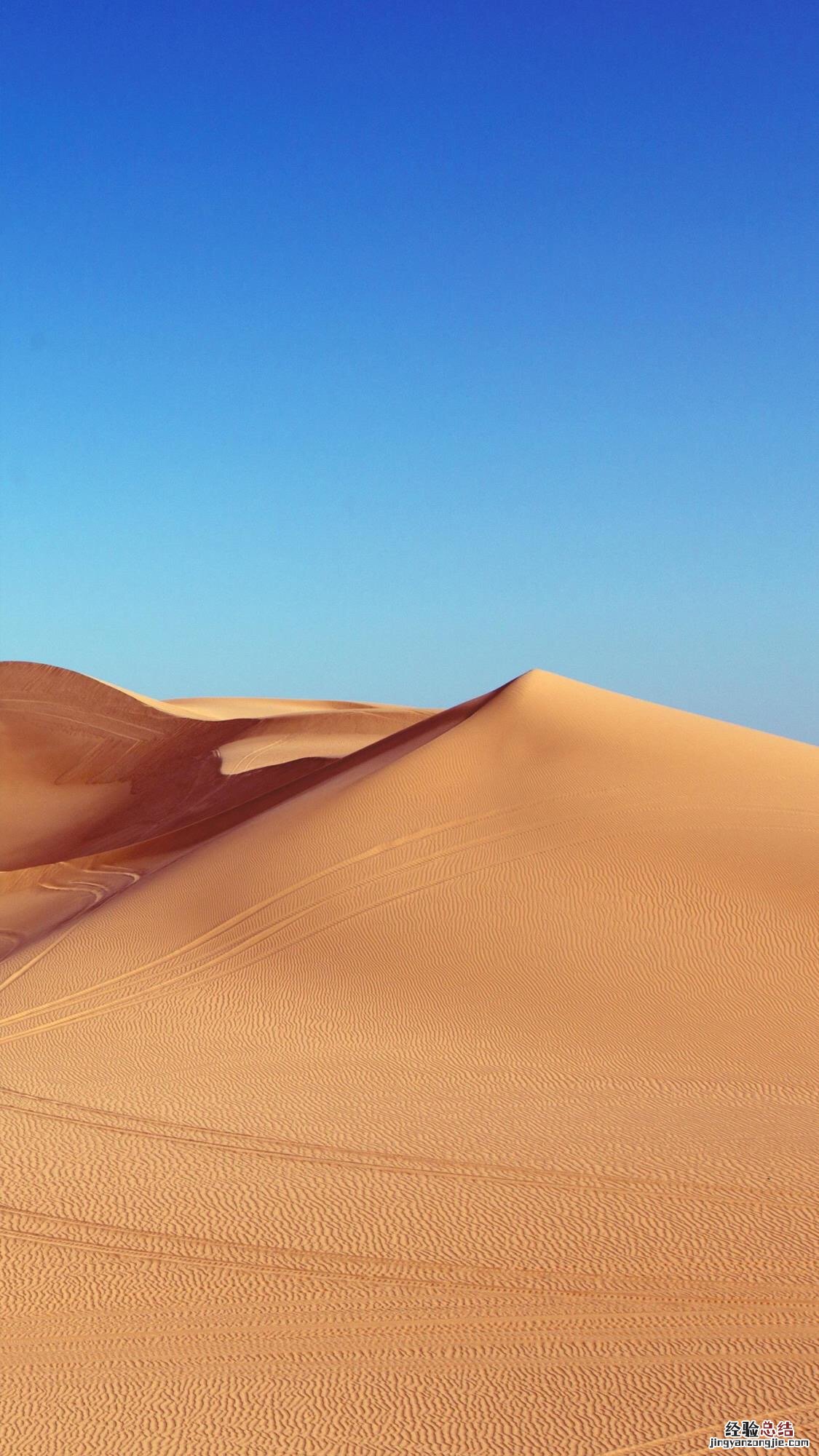 新鲜出炉!25张苹果iOS12壁纸下载大全