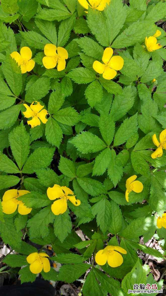 唯美微信聊天背景图片大全 都是好看的微信聊天壁纸