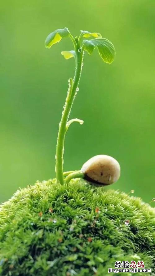 唯美微信聊天背景图片大全 都是好看的微信聊天壁纸