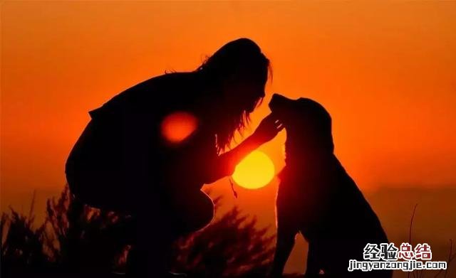 手机拍照如何构图?7个手机拍照构图技巧 照片分分钟获赞