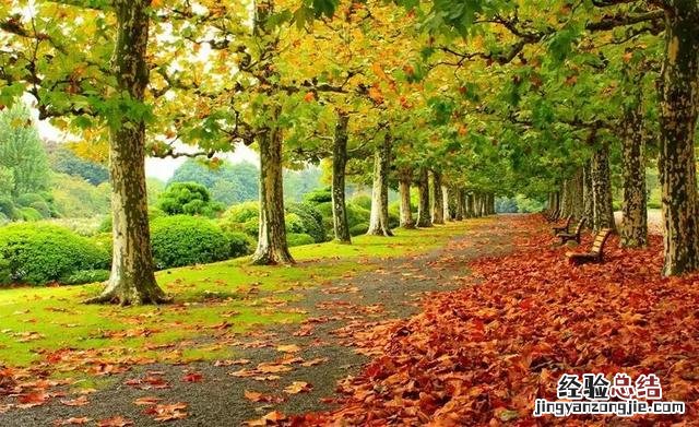 手机拍照如何构图?7个手机拍照构图技巧 照片分分钟获赞