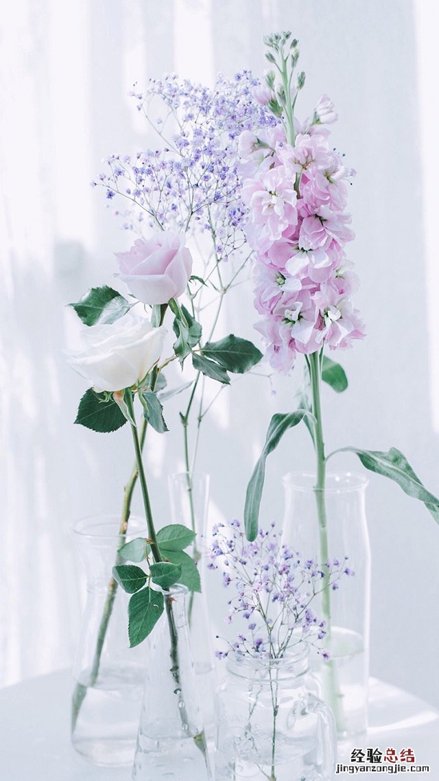 2018最火微信聊天背景图片大全 太美了!果断收藏