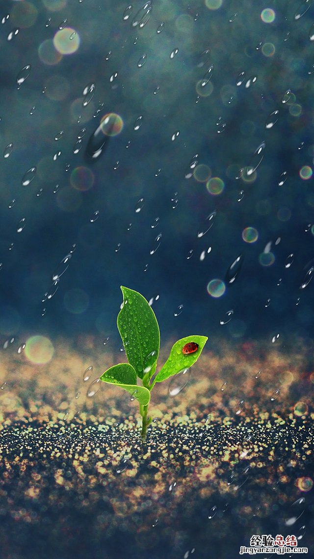 2018最火微信聊天背景图片大全 太美了!果断收藏