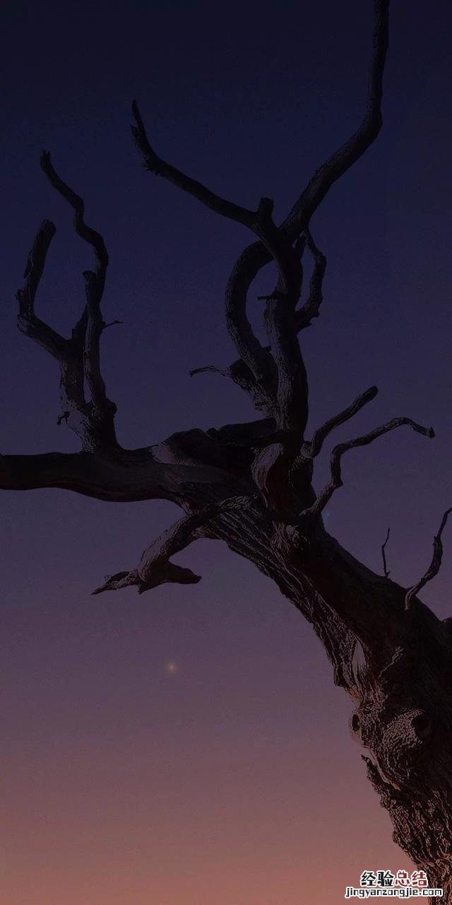 苹果iPhone X壁纸下载大全 安卓手机也能拥有!