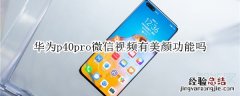 华为p40pro微信视频有美颜功能吗