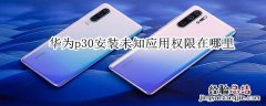 华为p30安装未知应用权限在哪里