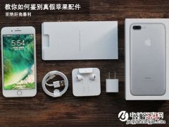 拒绝奸商暴利 教你如何鉴别真假苹果配件