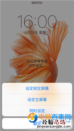 iPhone6s动态壁纸不动怎么办 iPhone6s动态壁纸设置教程