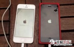iPhone白苹果怎么回事？iPhone白苹果解决办法汇总