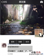 微信朋友圈选择题说说怎么弄的 朋友圈选择题编辑教程