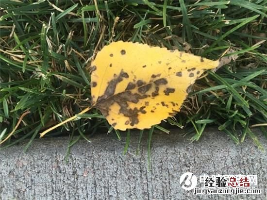 你真的会手机拍照吗?教你6招秒变拍照高手