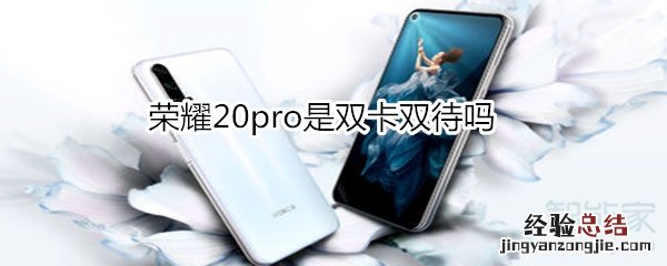 荣耀20pro是双卡双待吗