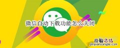 微信自动下载功能怎么关闭