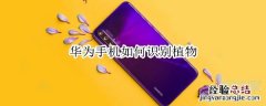 华为手机如何识别植物