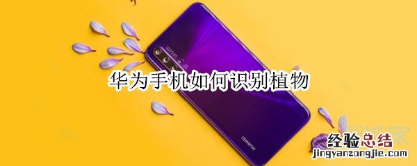 华为手机如何识别植物