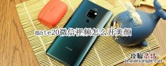 mate20微信视频怎么开美颜