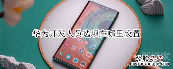 华为开发人员选项在哪里设置