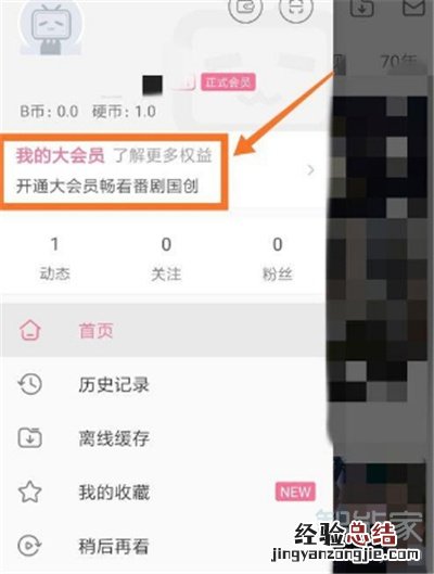 哔哩哔哩会员可以几个人用