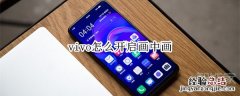 vivo怎么开启画中画