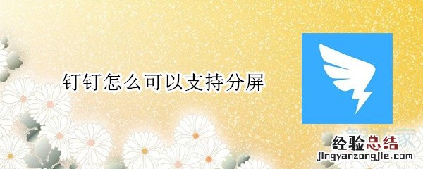 钉钉怎么可以支持分屏