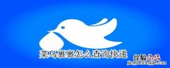 菜鸟裹裹怎么查询快递